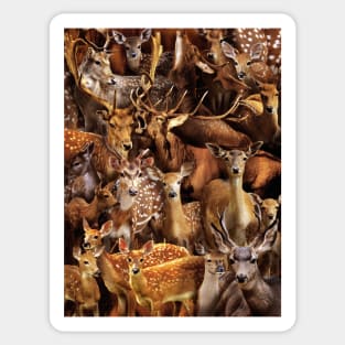 Deers Sticker